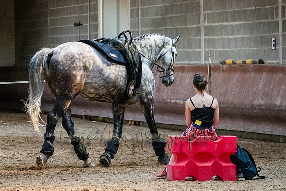 20190420_EKL_0075