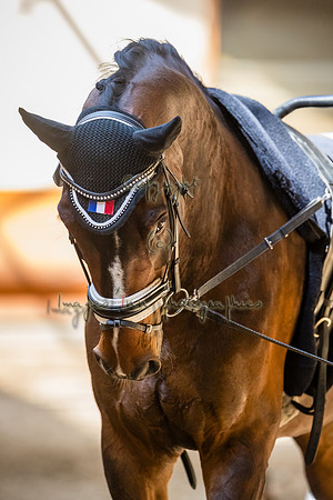 20190420_EKL_0078