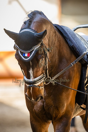 20190420_EKL_0079