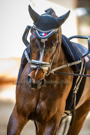 20190420_EKL_0080