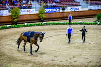 Equipes 3 etoiles