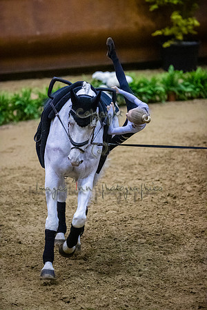 20190419_EKL_0270