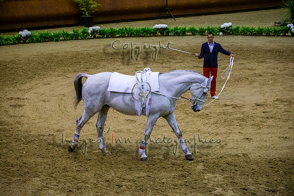 20190419_EKL_0293