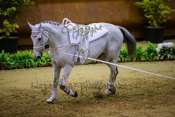 20190419_EKL_0294
