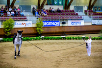 20190419_EKL_0020