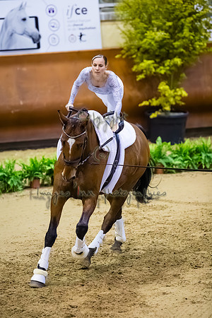 20190419_EKL_0041