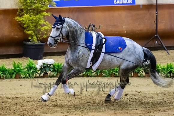 20190419_EKL_0064