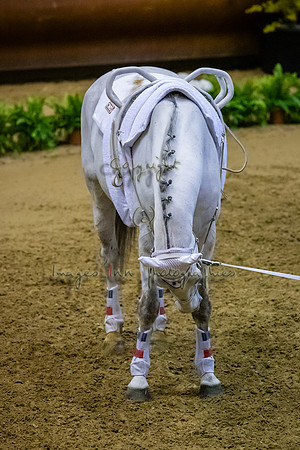 20190419_EKL_0166