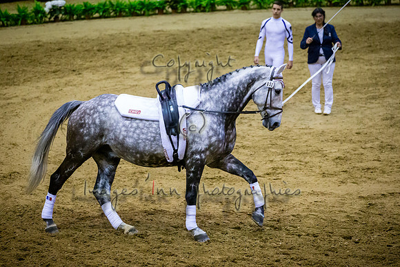 20190419_EKL_0171