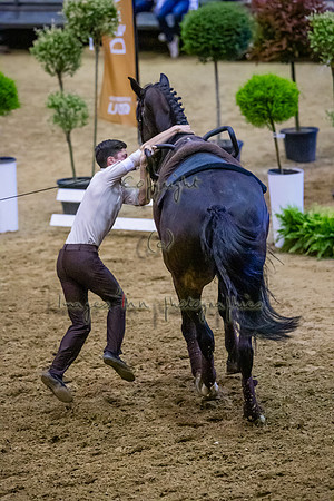20190419_EKL_0208