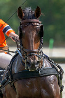 20070908_EKL_0010