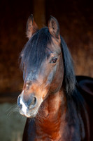 20081003_EKL_0022