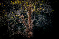 20171027_EKL_0005