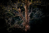 20171027_EKL_0006