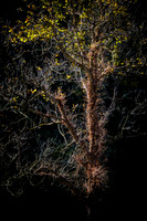 20171027_EKL_0007