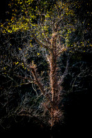 20171027_EKL_0008