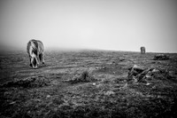 20171027_EKL_0030