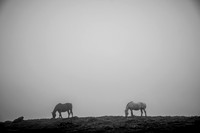 20171027_EKL_0032