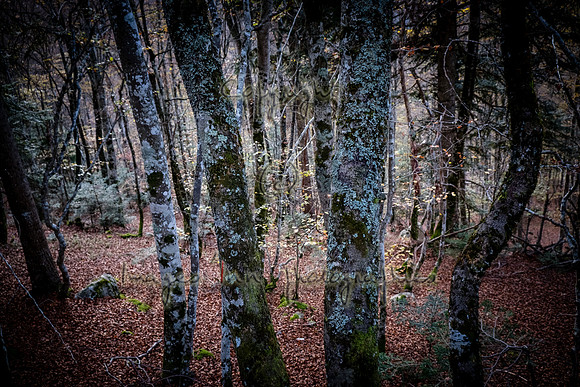 20171027_EKL_0093