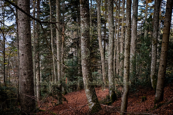20171027_EKL_0091