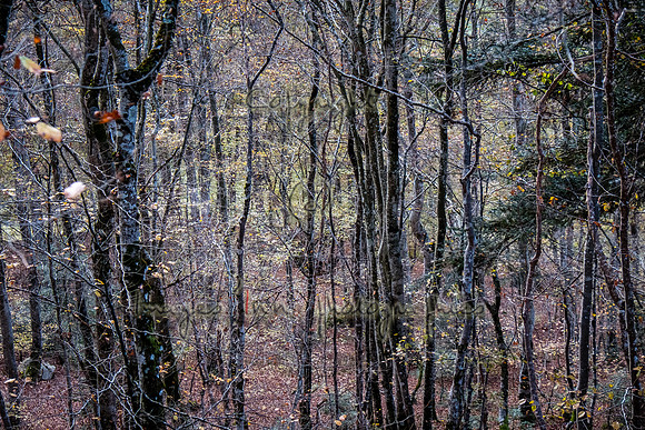 20171027_EKL_0095