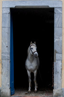 20081030_EKL_0013