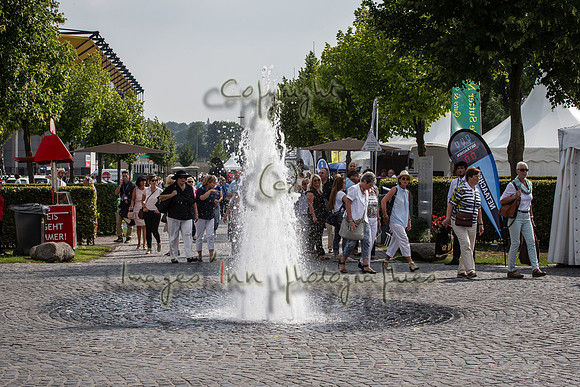 20150811_EKL_0115