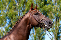 20080716_EKL_0075