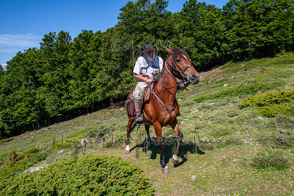 20090611_EKL_0003
