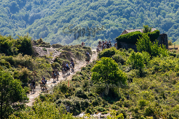 20090612_EKL_0007