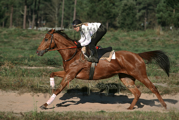 PS_Anglais_01