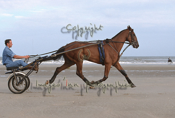 Trotteur_01 brut