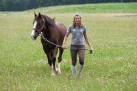 Chevaux & Poneys