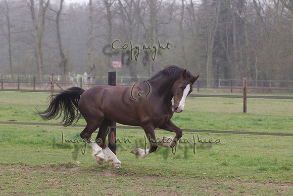 20120331_Y5G_0005