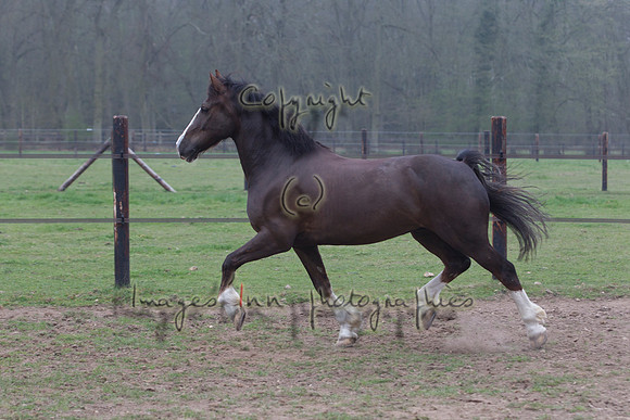 20120331_Y5G_0021