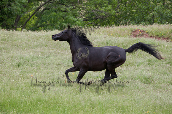 20080509_J7T_0461