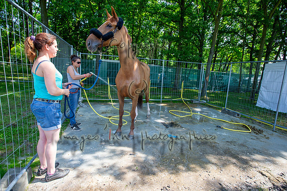 20130608_EKL_0041