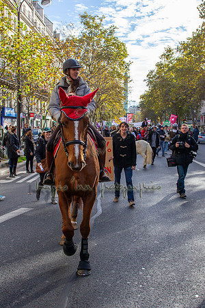 20131111_EKL_0076