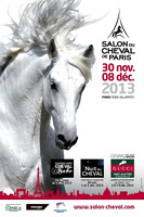 La Nuit du Cheval 2013