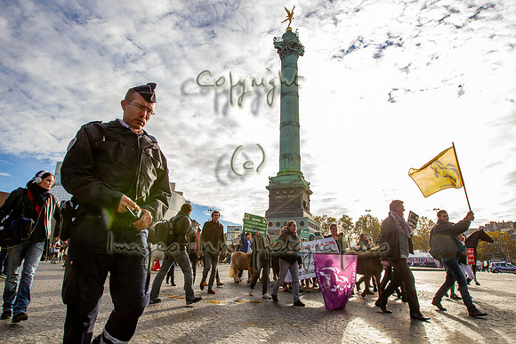20131111_EKL_0064