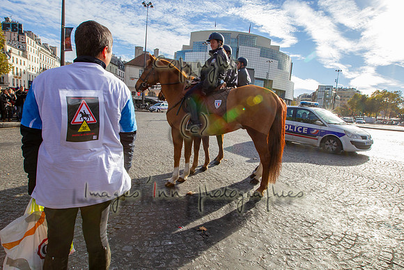 20131111_EKL_0018