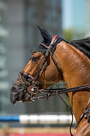 20190705_EKL_0162