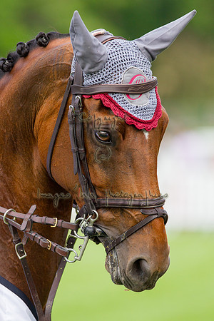 20120602_EKL_0136
