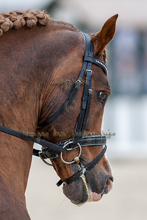 20090405_EKL_0011