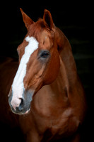 20081021_EKL_0005
