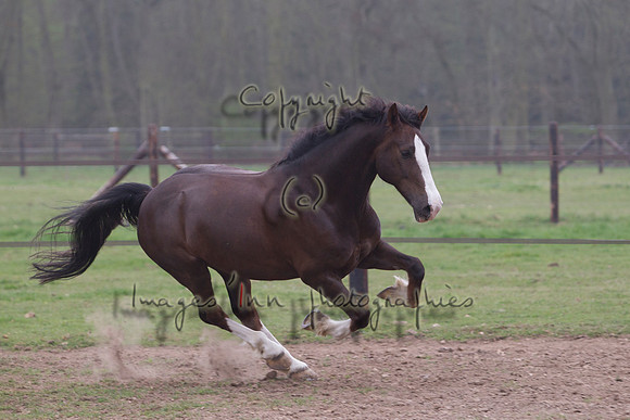 20120331_Y5G_0043