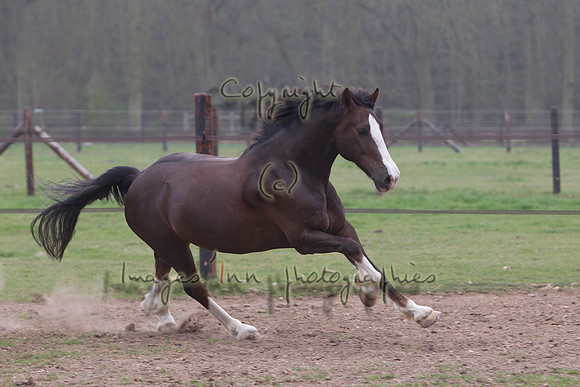 20120331_Y5G_0044