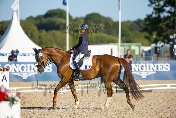 Anne Frederique Royon-Quaterboy LH-HERN22L102264