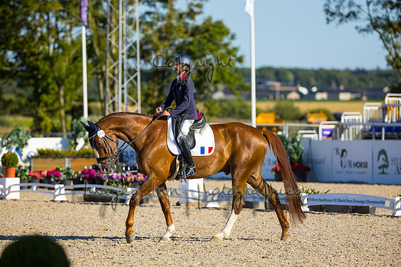 Anne Frederique Royon-Quaterboy LH-HERN22L102289