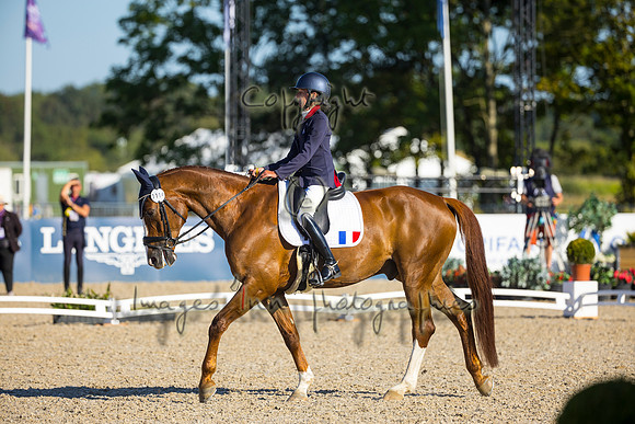 Anne Frederique Royon-Quaterboy LH-HERN22L102292